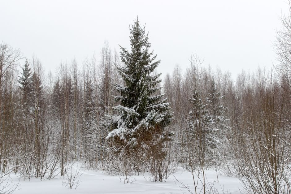 Extreme Weather Vacations: Surviving Yakutsk, Russia’s Cold